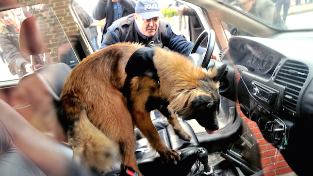 Drug-sniffing Dog, Supreme Court, probable cause