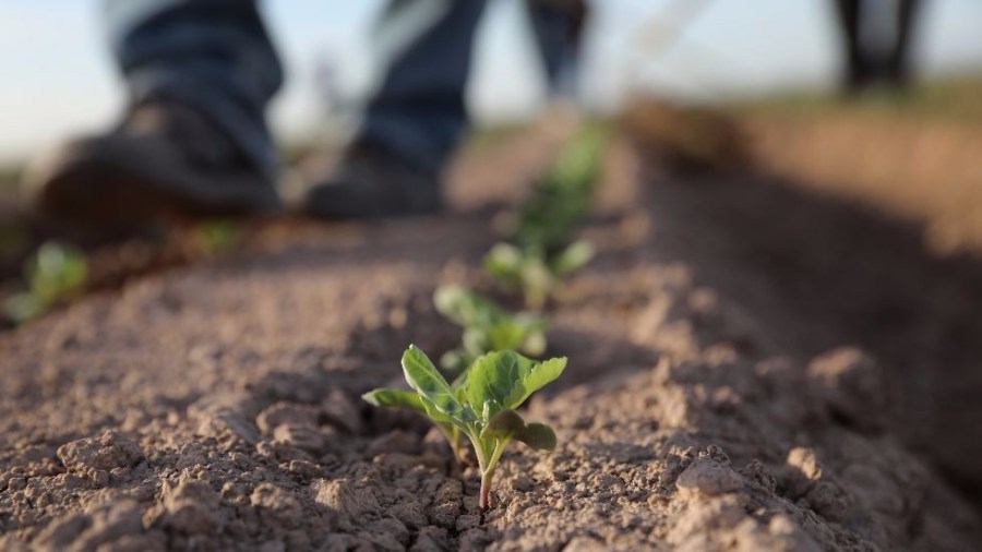 agriculture farming food supply