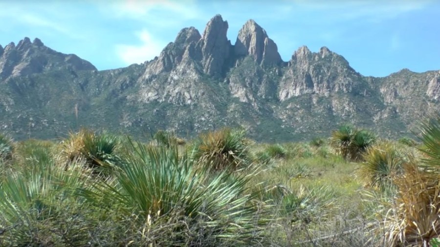 Organ Mountains-Desert Peaks