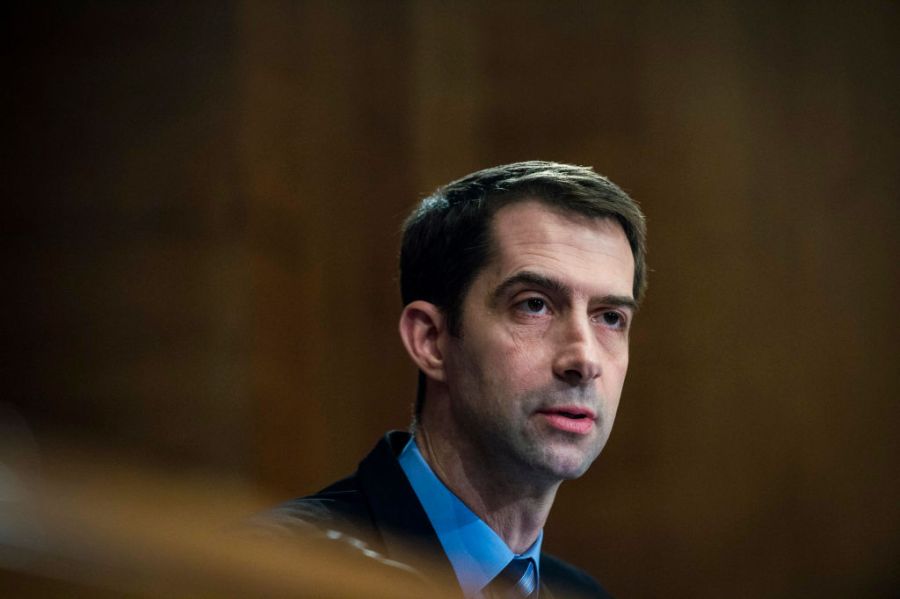 Tom Cotton - Getty