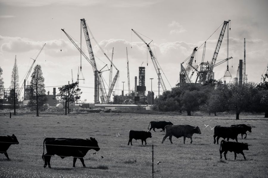 an image of a cow pasture with fertilizer plant in the background