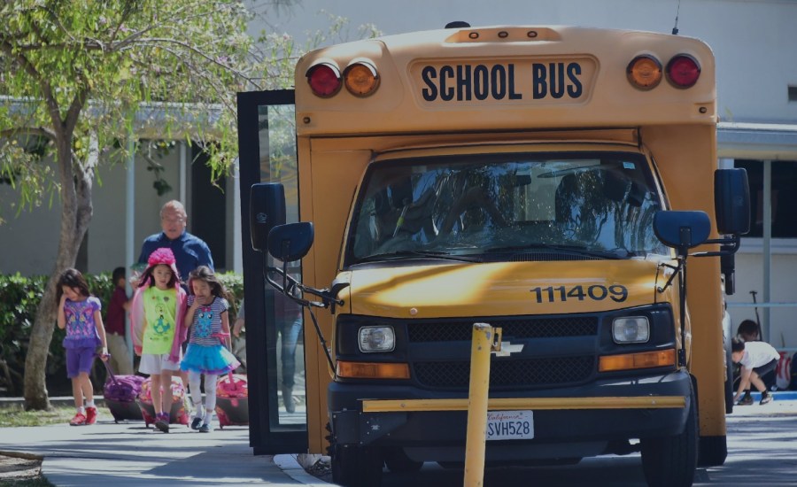 a photo of a school bus