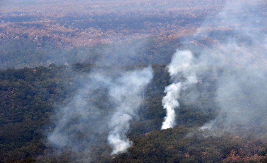 Australia’s fires may release enough carbon to equal the country’s total yearly emissions