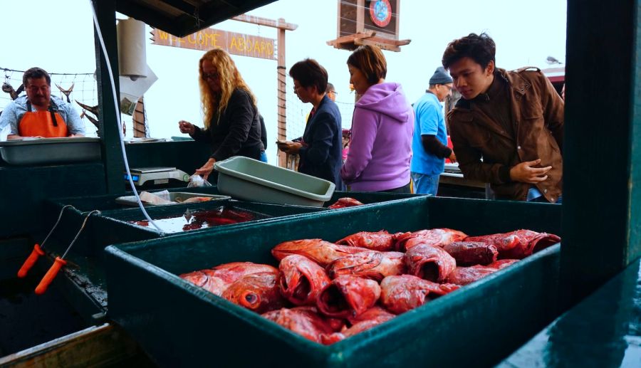 Recovered West Coast fishery reopens in rare conservation win