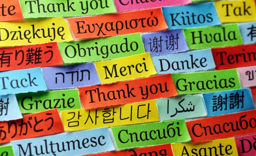 benefits of learning a language, language study benefits, multilingual benefits