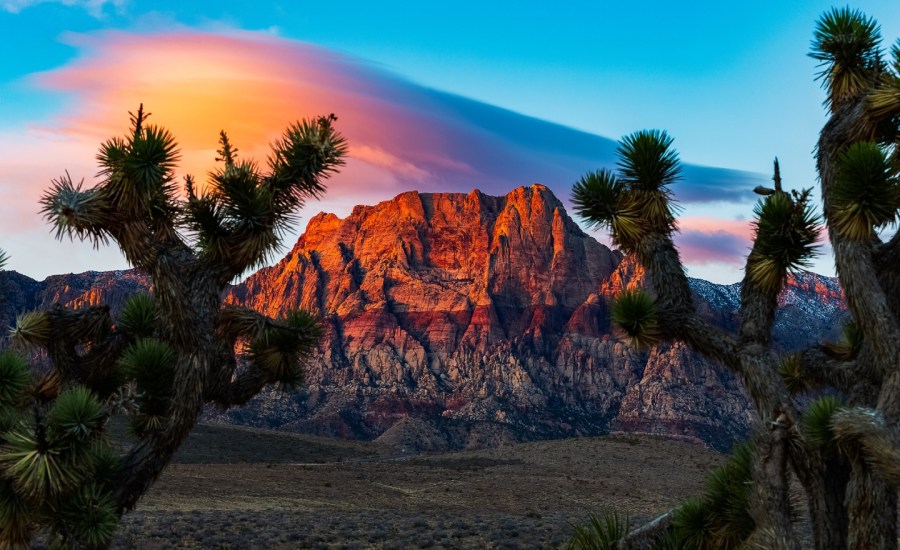 Nevada desert