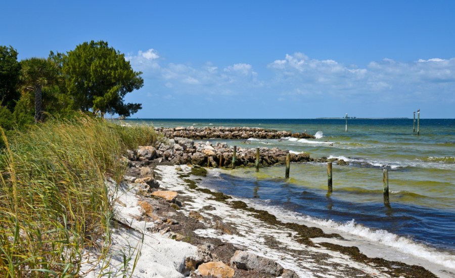 the beachfront on an island off the coast of florida