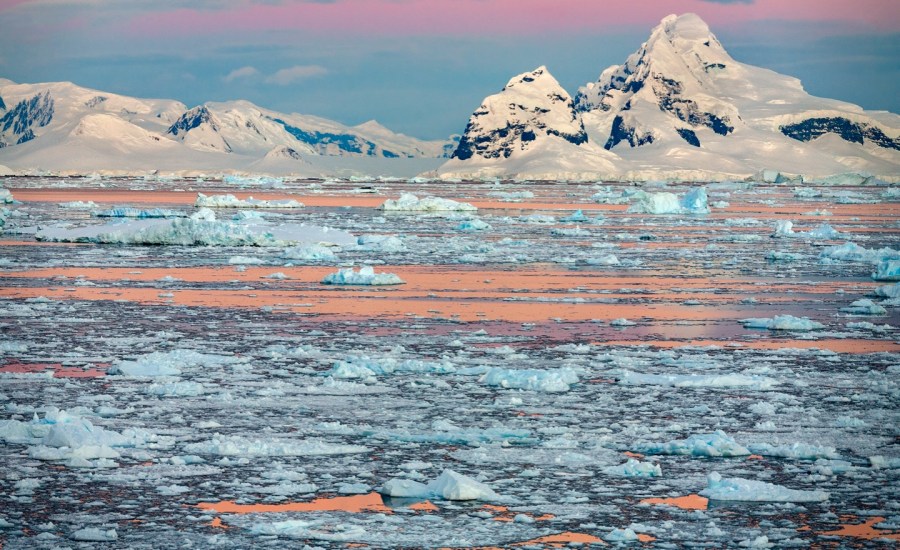 melting snow against a sunset in the antarctic peninsula