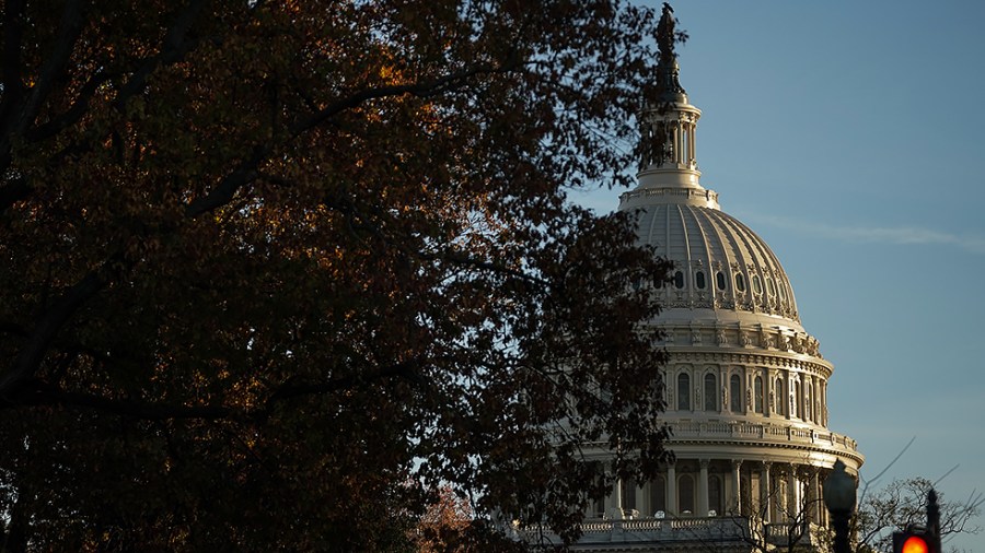 Capitol dome behind tree leaves