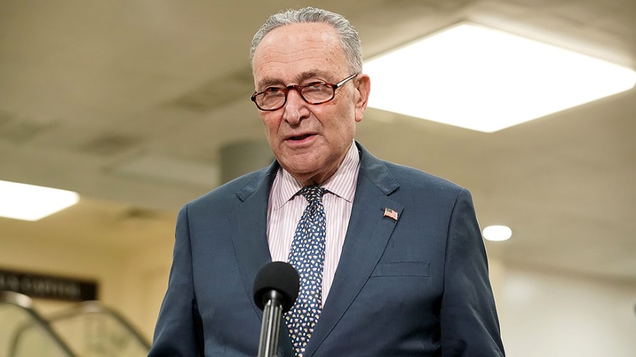 Majority Leader Charles Schumer (D-N.Y.)