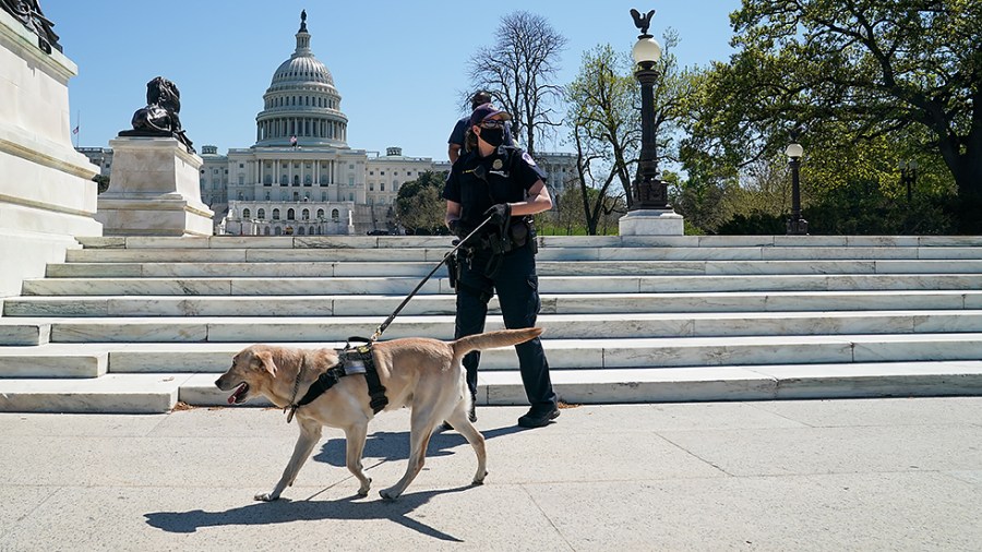 A K-9 with the U.S. Capitol Police patrols the Capitol Reflecting Pool