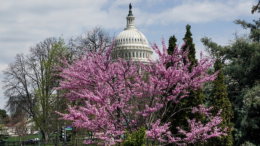 U.S. Capitol