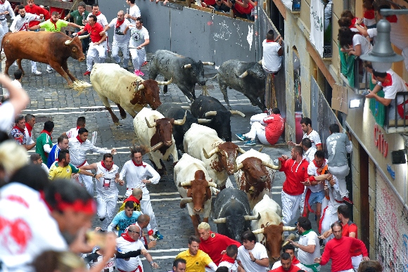 Participants run next to Miura fighting bulls on the last bullrun of the San Fermin festival in Pamplona