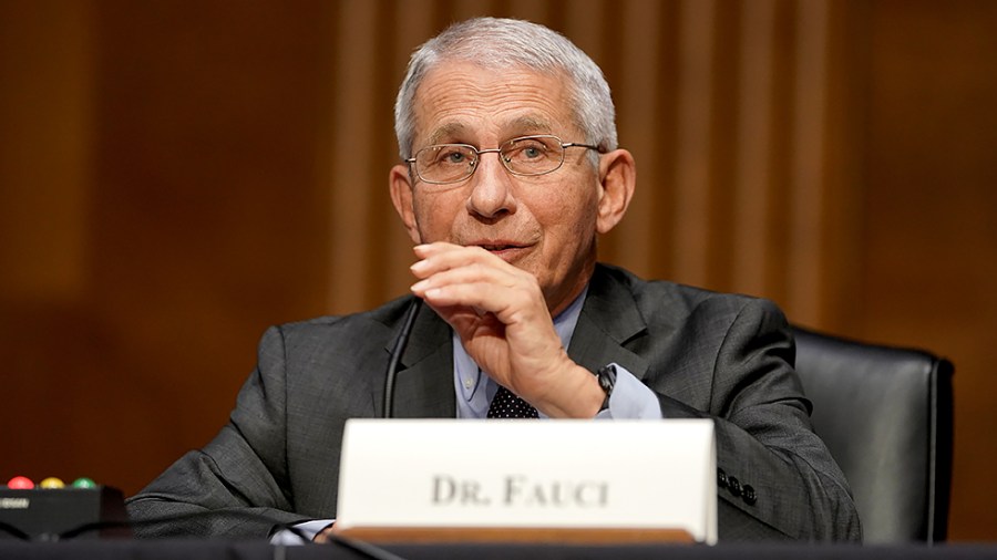 Dr. Anthony Fauci, director of the National Institute of Allergy and Infectious Diseases