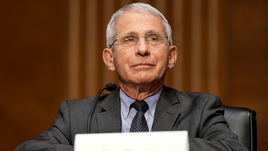 Dr. Anthony Fauci, director of the National Institute of Allergy and Infectious Diseases