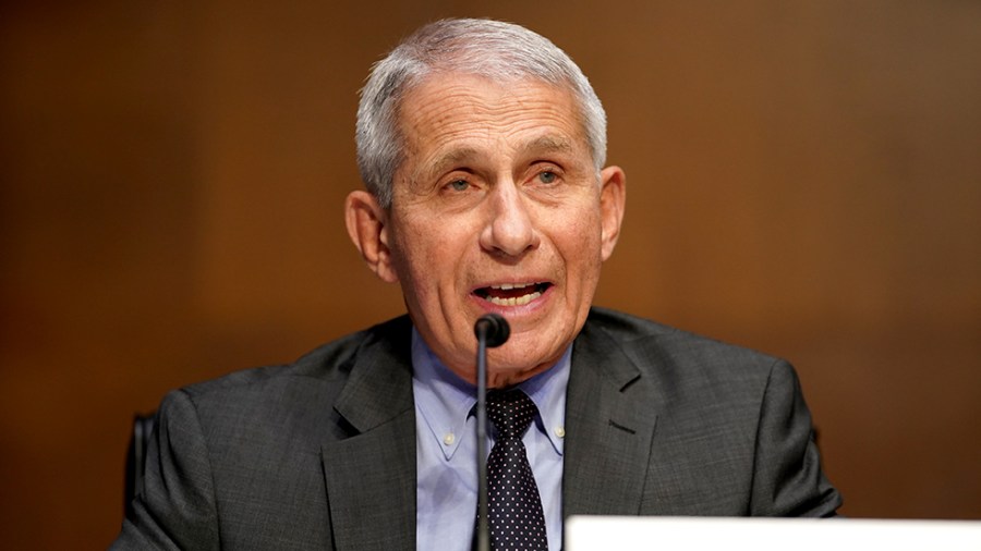 Dr. Anthony Fauci, director of the National Institute of Allergy and Infectious Diseases