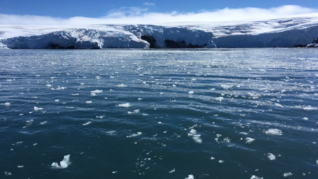 southern ocean antarctica national geographic fifth 5th ocean basin june 8 world ocean day