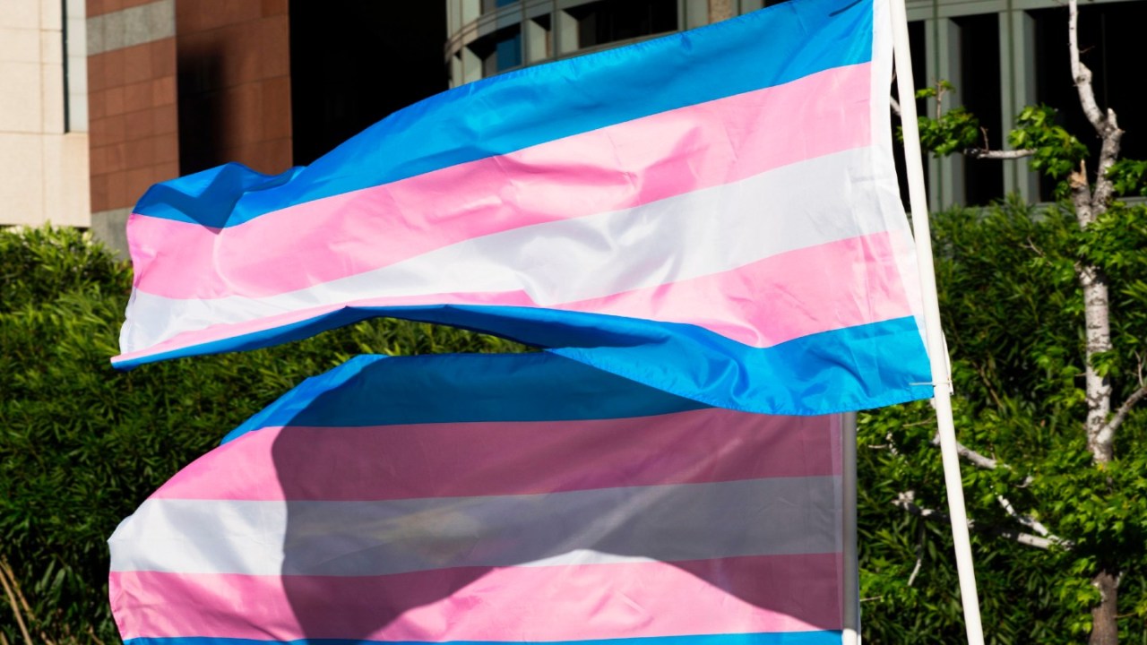 transgender governor gubernatorial democrat candidate melissa sue robinson odaho first ever politician politics local state bundy race lgbtq+ pride