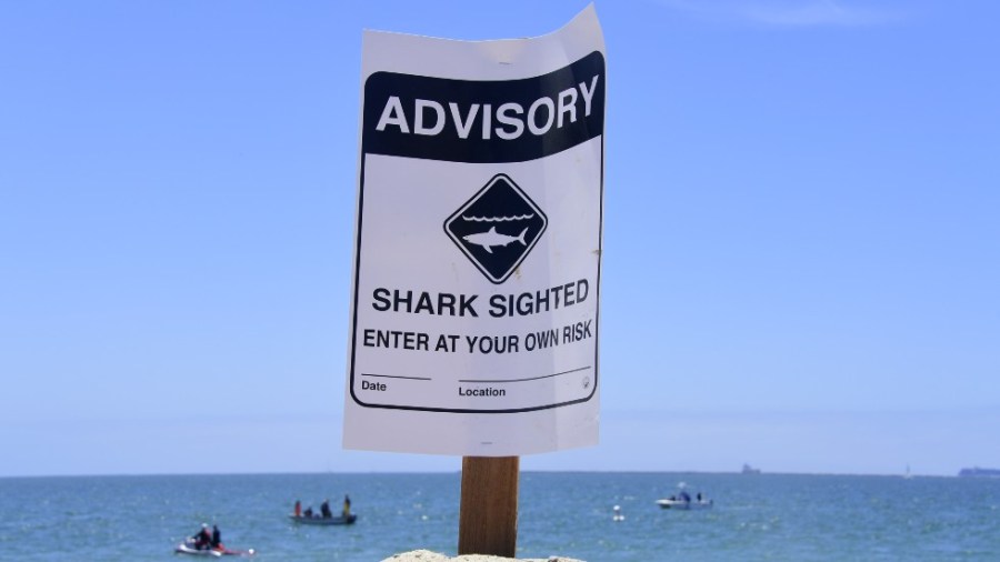 Warning signs for shark sightings are seen in Long Beach, Calif.