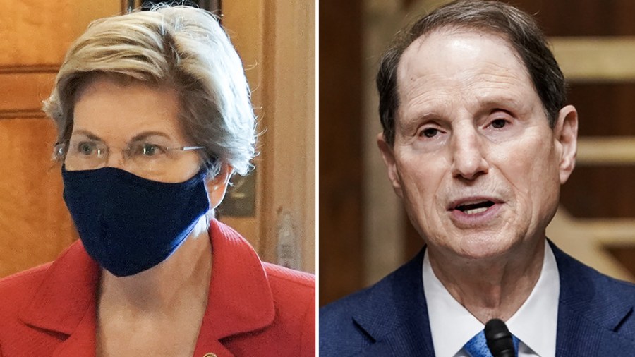 Elizabeth Warren and Ron Wyden