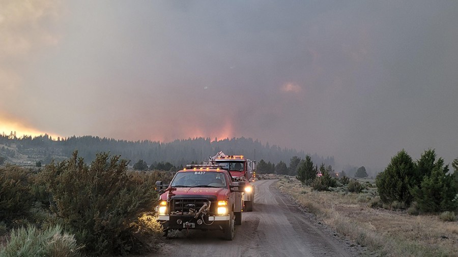 A view of smoke rising from the Bootleg Fire and a nearby forest is seen from the road