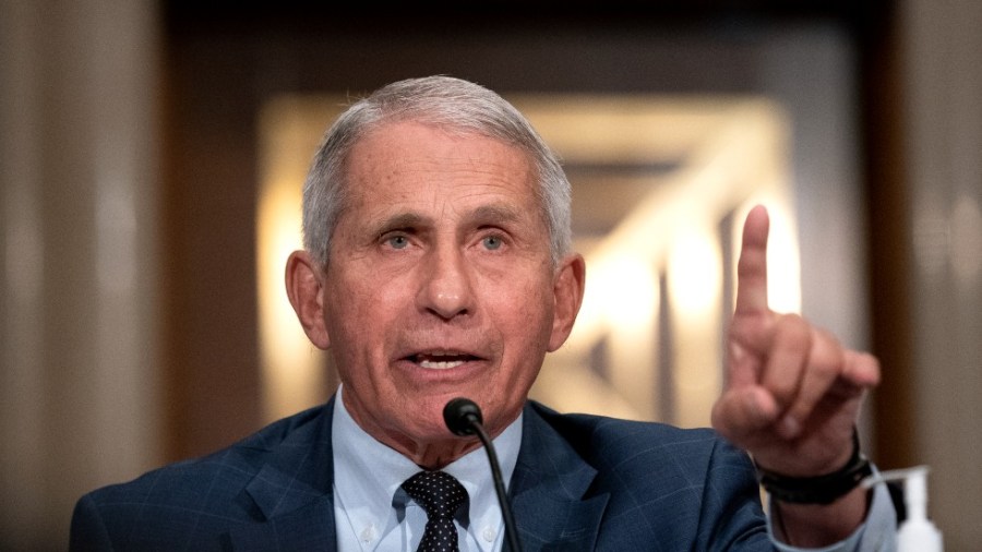 Anthony Fauci at Senate hearing