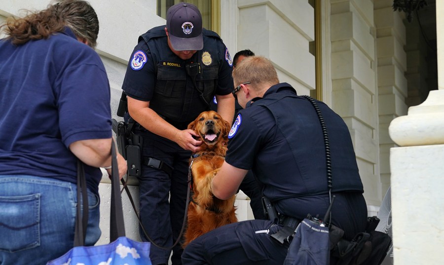 U.S. Capitol police officers pet a golden retriever therapy dog