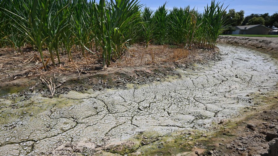 Dry and cracked soil near an irrigation ditch