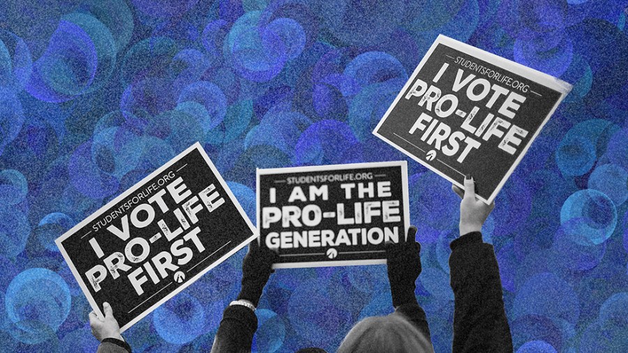 Photo illustration of pro-life signs