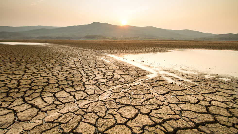 Cracked land during a drought