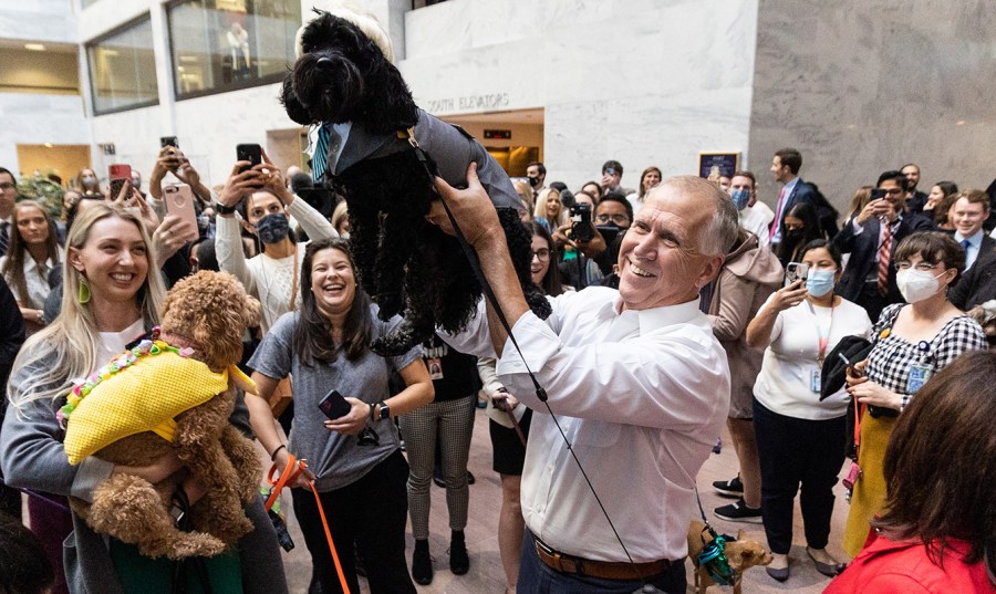 Sen. Thom Tillis (R-N.C.) holds his dog, Mitch Tillis, dressed up as Senate Minority Leader Mitch McConnell