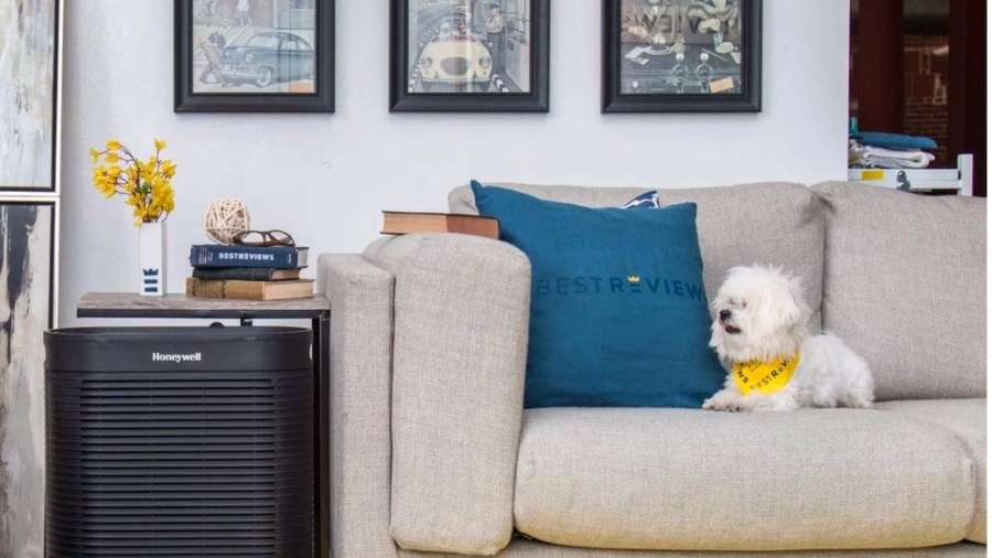 Small, fluffy, white dog sitting on a couch near a Honeywell heating unit