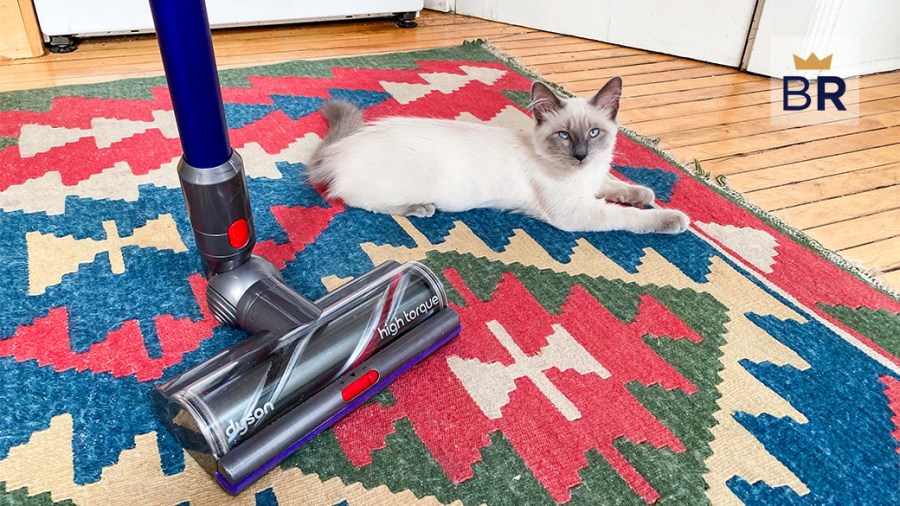 Siamese cat lying on a colorful rug beside the vacuum