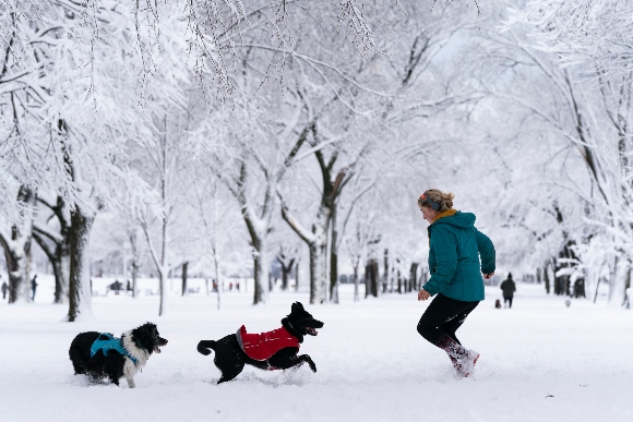 LJ Dawson, from Washington, plays with her dogs Jett, left, and Saroo, on the National Mall in the snow