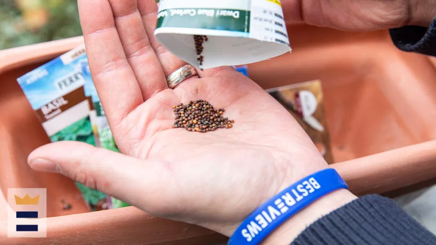 Person emptying a packet of plant seeds into their hand