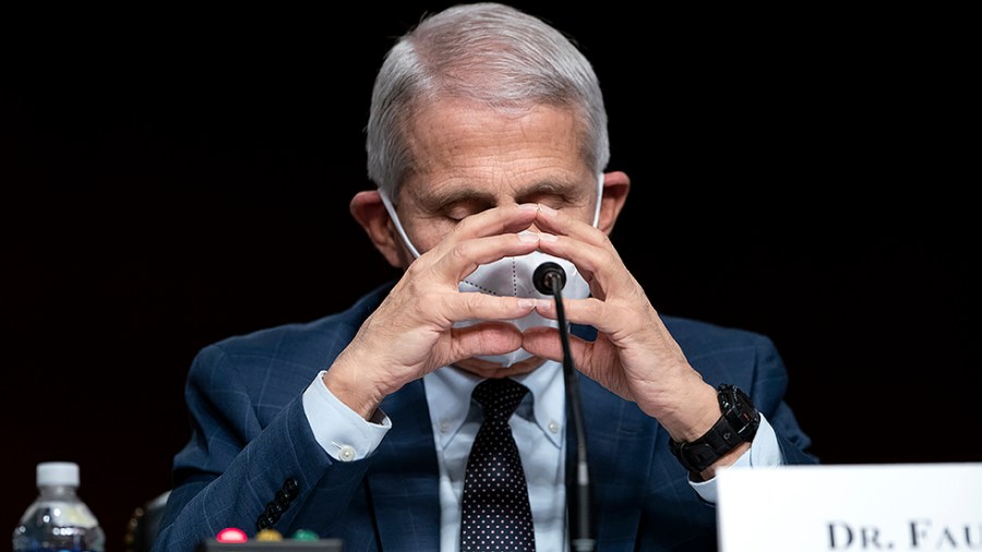 Dr. Anthony Fauci, White House Chief Medical Advisor and Director of the NIAID, is seen during a Senate Health, Education, Labor, and Pensions Committee hearing to examine the federal response to COVID-19 and new emerging variants on Jan. 11.