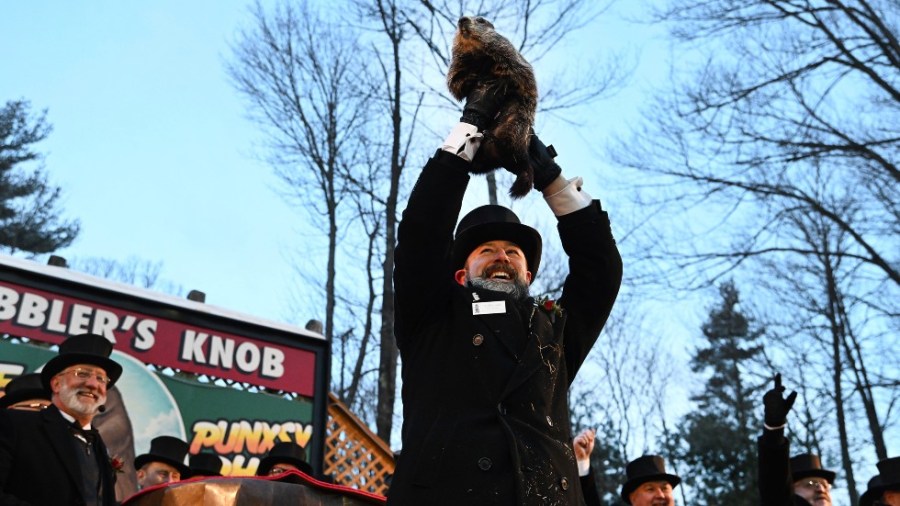 Groundhog Club handler A.J. Dereume holds Punxsutawney Phil on Wednesday, Feb. 2, 2022.