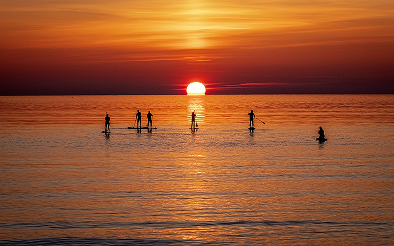 Paddle boarders tour a calm Baltic Sea at sunset