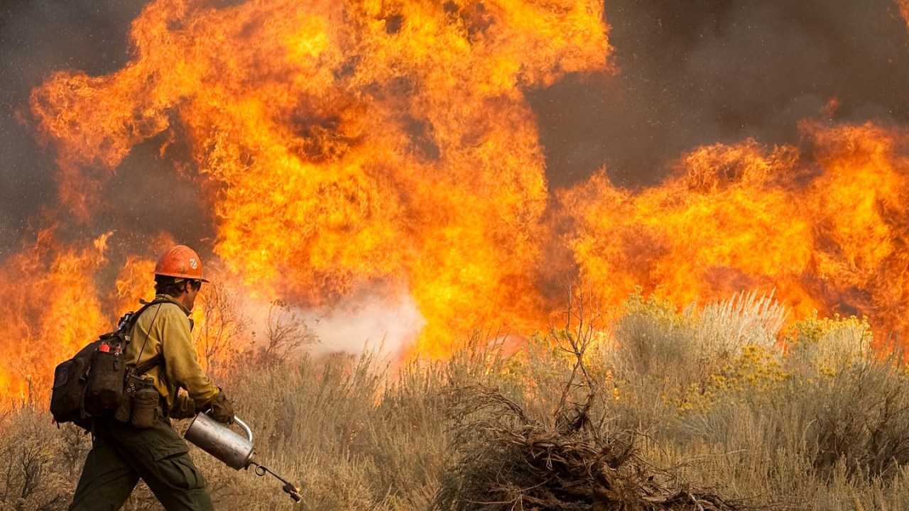 A firefighter sprays a wildfire.