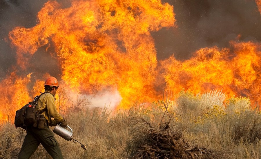 A firefighter sprays a wildfire.