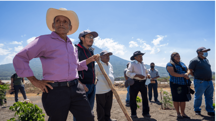 A group of Guatemalan farmers stand in a field.