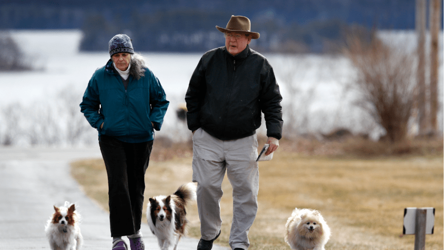 In this April 1, 2020 photo, Betsy and David Sheen are joined by their dogs as they walk up their driveway after getting the mail at their home in Bowdoinham, Maine.