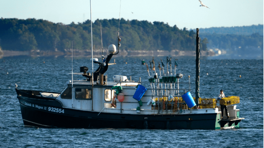 In this Sept. 21, 2020, file photo, a lobsterman moves traps at the stern of a boat while fishing off Portland, Maine.