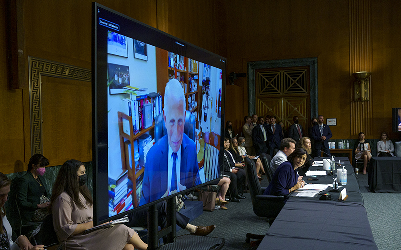 Anthony Fauci is seen virtually on a screen behind CDC director Rochelle Walensky during a senate committee meeting regarding COVID-19