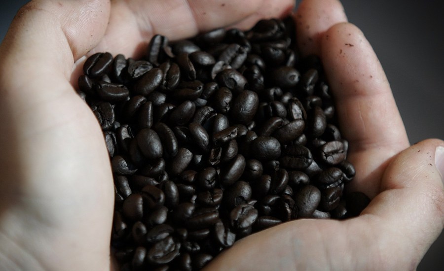 person holding coffee beans.