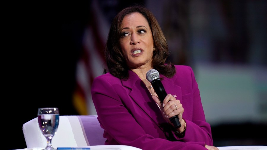 Vice President Kamala Harris speaks at an event as part of the Essence Festival of Culture in New Orleans