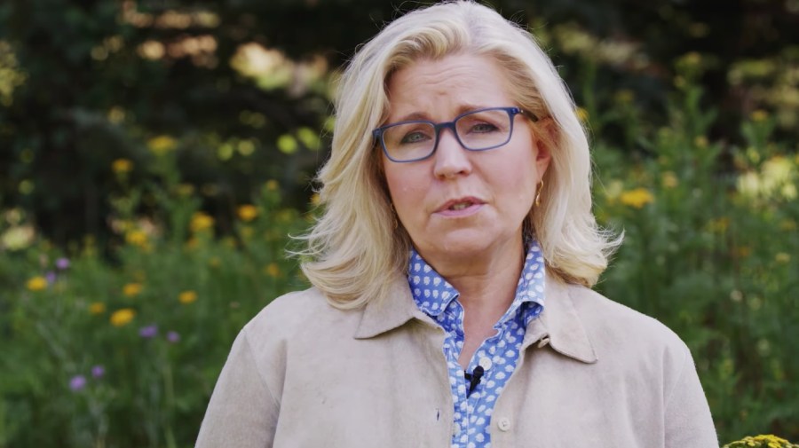 Liz Cheney