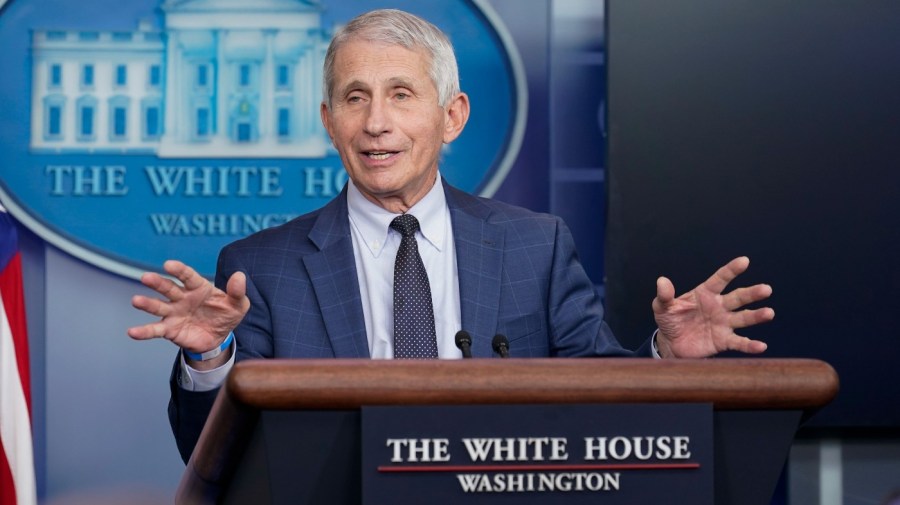 Anthony Fauci