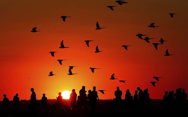 A crowd of people watch the setting sun