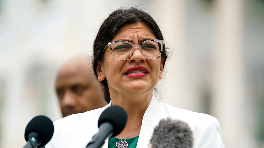 Rep. Rashida Tlaib (D-Mich.)